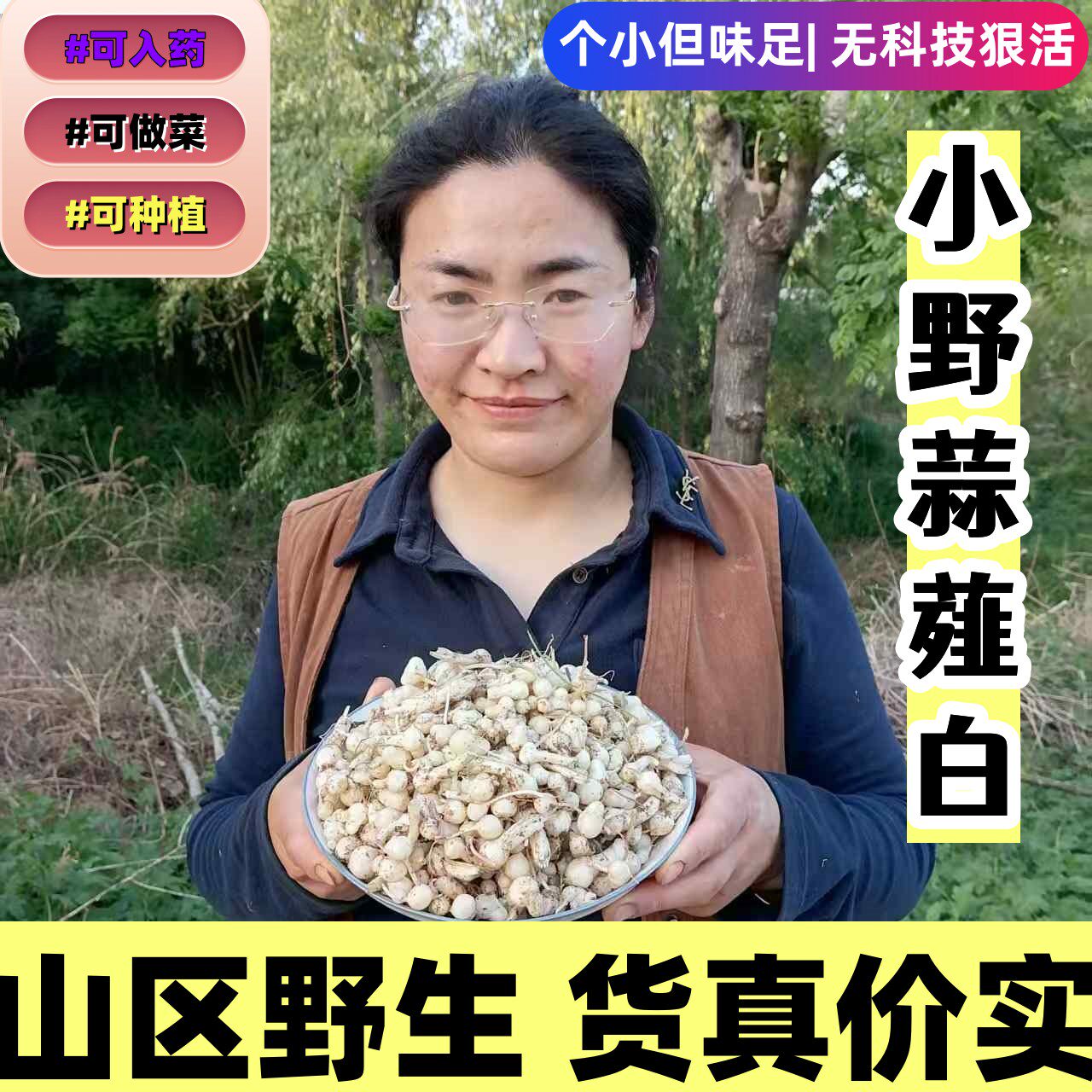 新鲜野生小根蒜小野蒜薤白大脑瓜小蒜小野葱小宅蒜野菜现挖中药材