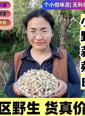 新鲜野生小根蒜小野蒜薤白大脑瓜小蒜小野葱小宅蒜野菜现挖中药材