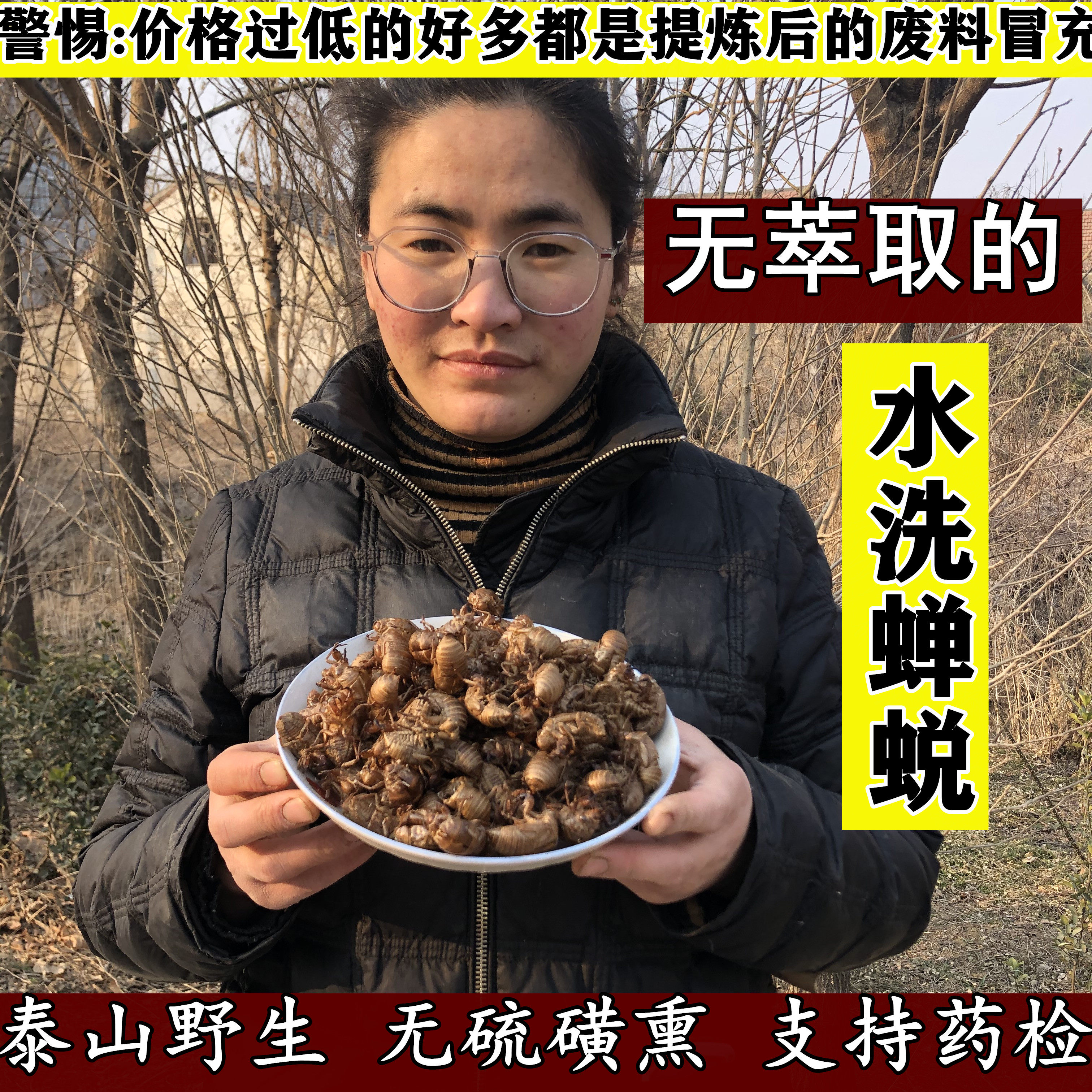 野生蝉蜕知了皮金蝉皮蝉退蝉衣虫蜕蝉壳金牛儿虫衣干品100g包邮