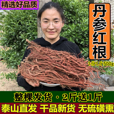 野生山东血参500g包邮