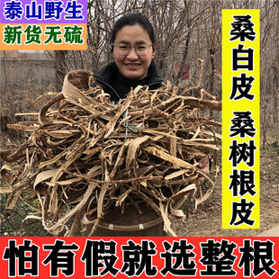 山东野生新鲜桑白皮桑树根皮桑根白皮桑根皮白桑皮中药材桑叶桑枝