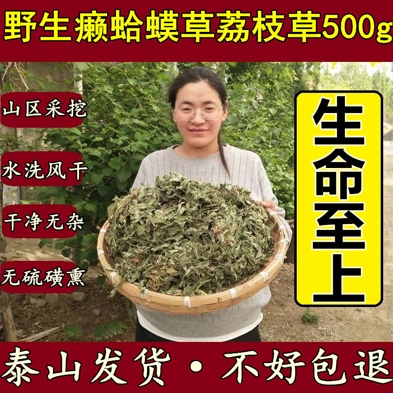 干品蛤蟆草晒干整棵干荔枝草癞蛤蟆草蟾蜍草青蛙草雪见草500g包邮