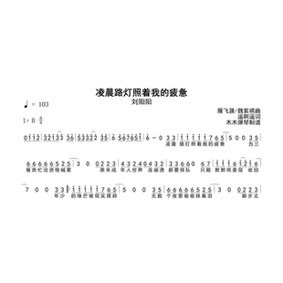 刘阳阳 - 凌晨路灯照着我的疲惫 简谱吉他谱曲谱合集电子版曲谱