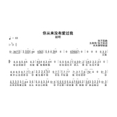 吉他谱电子版 简谱 高清完整曲谱扒谱 你从来没有爱过我 励明