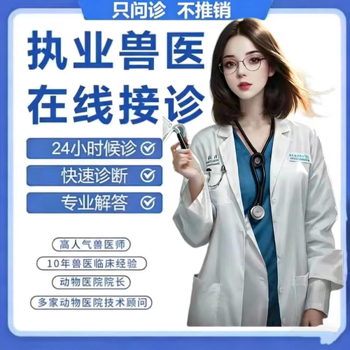 宠物医生线上问诊24小时咨询全科异宠犬猫鸡鸭鹅鱼仓鼠龟鸟兔爬行