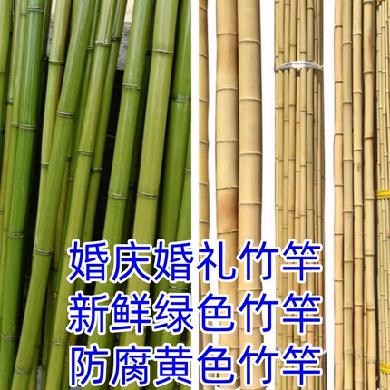 新鲜竹竿竹杆婚庆竹艺风水花艺搭建花架竹架框架装饰竹子先砍竹筒