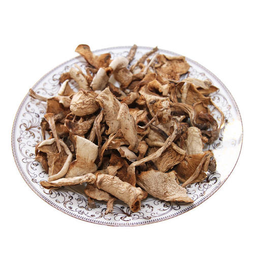 野生台蘑蘑菇蘑菇野生菌