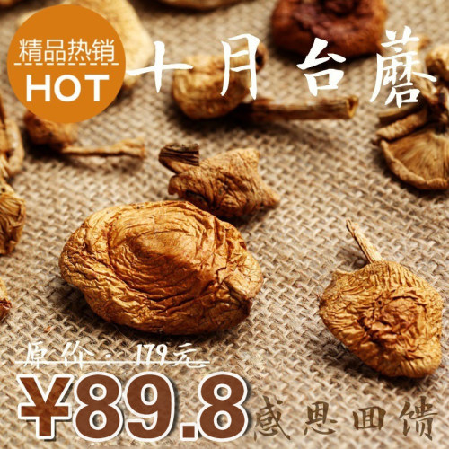台蘑五台山野生蘑菇新鲜素食