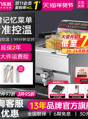 lecon/乐创 电炸炉油炸锅商用双缸 炸串机油条机油炸机单缸电炸锅