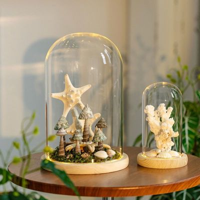 永生花玻璃罩微景观摆件