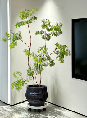 掬涵仿真植物福绿桐高级感软装饰