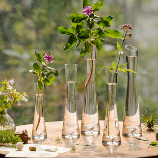 花插瓶轻奢迷你花器小口径玻璃瓶餐桌摆件洗手间鲜花一枝插花水培