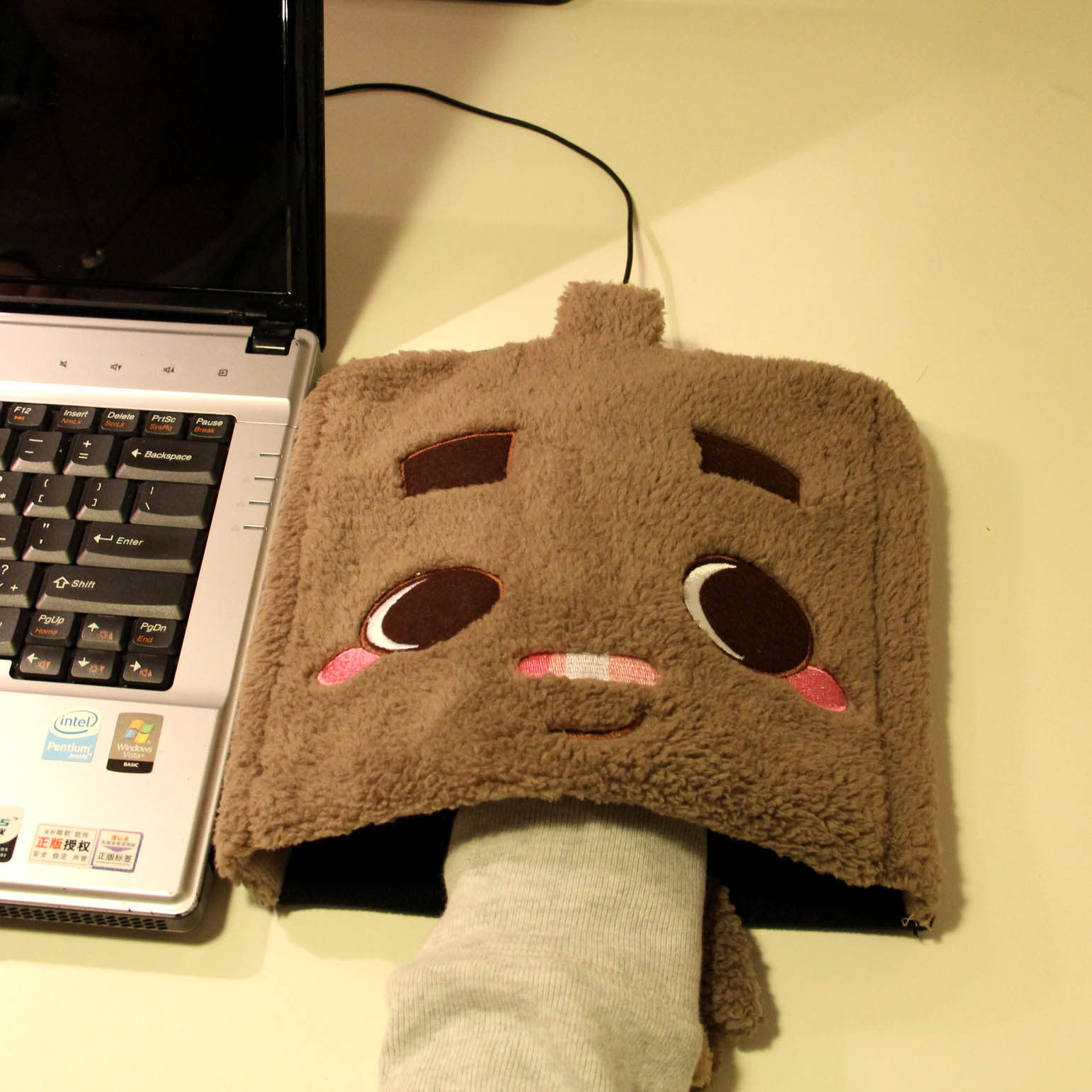 Coussin chauffant USB IMAX dessin animé - Ref 423713 Image 1