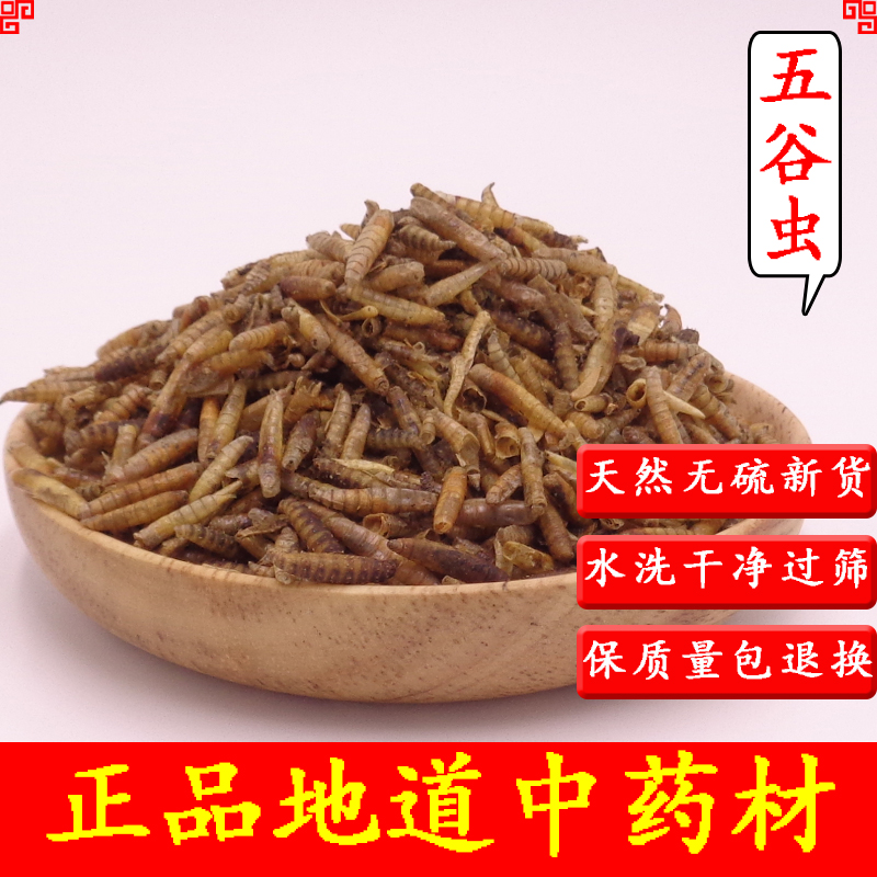 中药材五谷虫500克  蝇蛆干 蛆干 五谷虫干 鸟鱼食饲料猫龟仓鼠