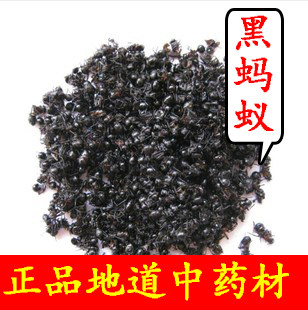 中药材天然黑蚂蚁500g大蚂蚁干泡酒料蚂蚁粉正品长白山拟黑多刺蚁
