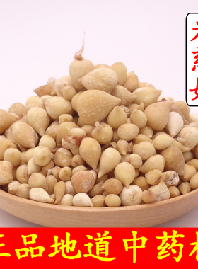 中药材光慈姑天然 精选正品光慈姑 白慈姑 光慈菇 白茨菇500克