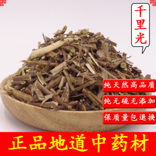 中药材千里光500克 一扫光 九里明 九里光九里明