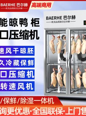巴尔赫智能风干冷藏晾鸭柜除湿