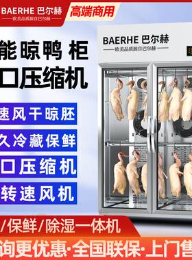 巴尔赫风干柜晾鸭柜商用烤鸭烧鹅五花肉烧腊吹干机除湿保鲜晾胚柜