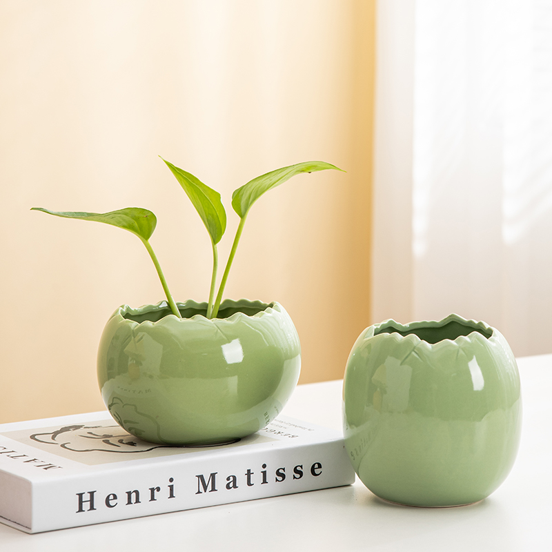 水培摆件桌面装饰特价清仓绿萝铜钱草创意家居花盆客厅茶几