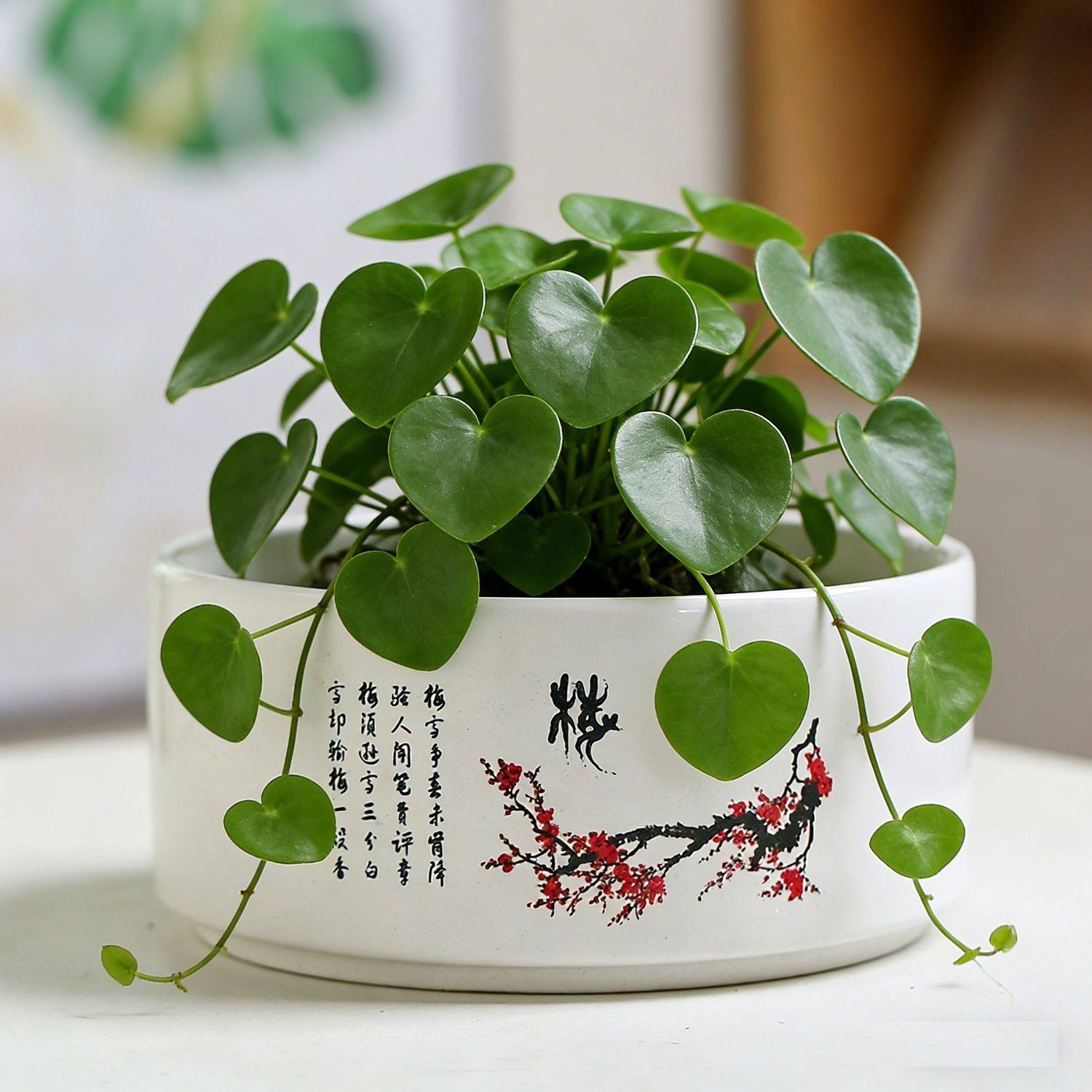 水培花盆陶瓷带托盘水仙花一叶莲中大号桌面装饰无孔金钱草睡莲