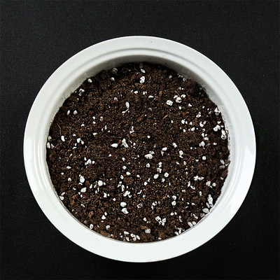 多肉植物有机营养土苔藓类泥炭土园艺土黑土花土种菜泥土 虎窝淘