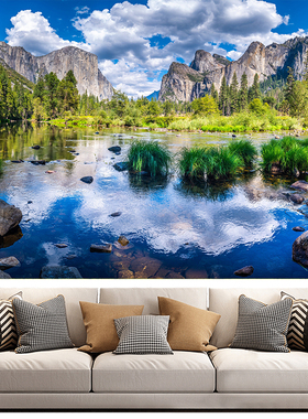 原始森林公园壁画绿色田园大自然风景电视背景卧室沙发自粘贴画