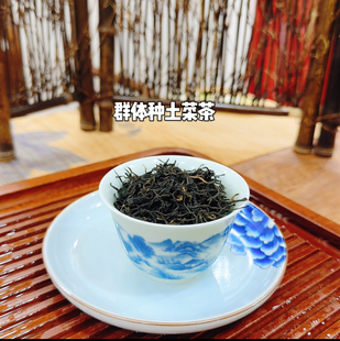 2025年新老枞菜茶小种红茶福建省宁德市寿宁红茶野生群体种土菜茶