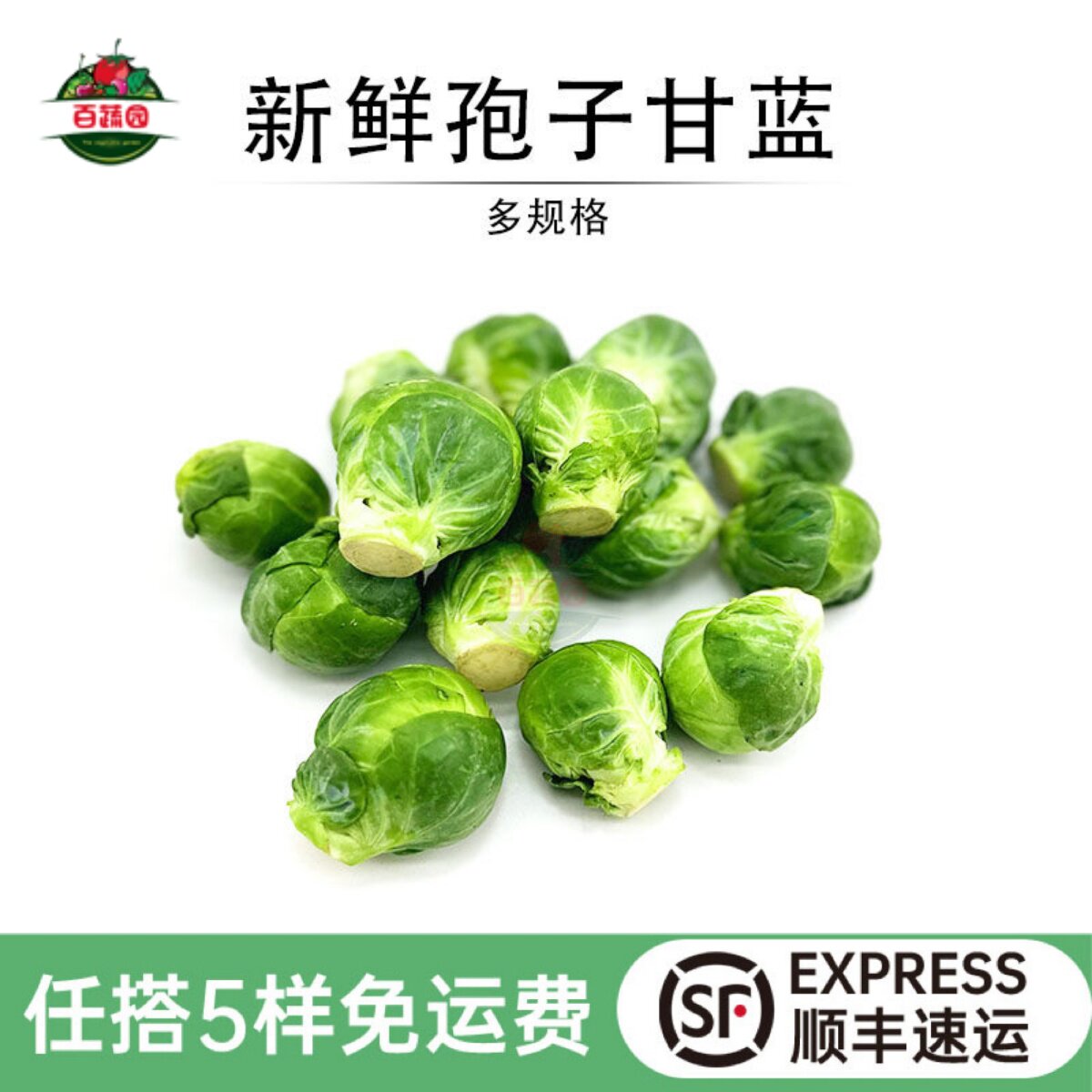 新鲜孢子甘蓝西餐沙拉食材蔬菜