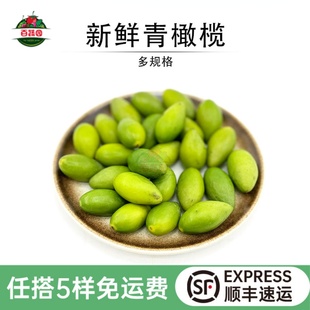 新鲜青橄榄 潮汕特产青果忠果白榄黄榄果煲汤炖猪肚生吃孕妇水果