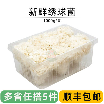 新鲜绣球菌食用蘑菇顺丰2斤装