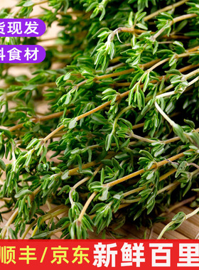 新鲜百里香煎牛排用可食用烧烤香料菜装调料调味装饰西餐食材包邮