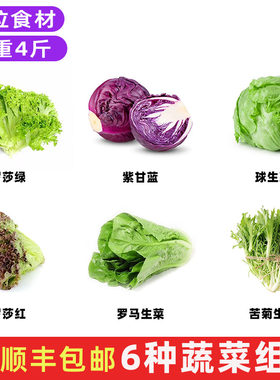 新鲜沙拉蔬菜组合轻食食材包邮
