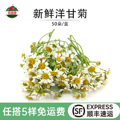 新鲜洋甘菊迷你菊西餐蛋糕装饰