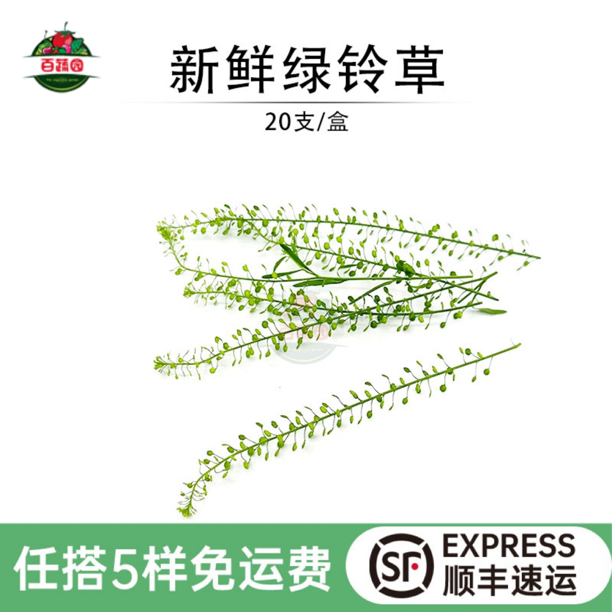 新鲜绿铃草日料蛋糕装饰点缀花草