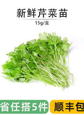 新鲜芹菜苗 香芹苗三叶香可食用蔬菜酒店西餐摆盘冷艺装饰点缀芽
