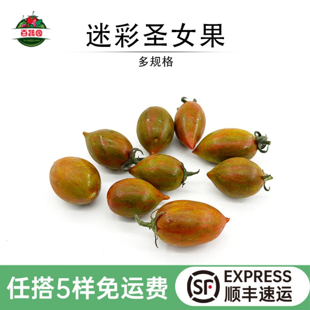 新鲜迷彩小番茄圣女果食用樱桃小西红柿生吃水果餐厅摆盘装饰食材