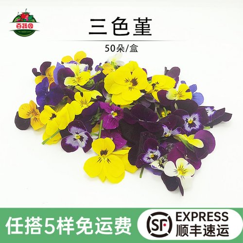 新鲜三色堇花草蛋糕装饰点缀摆盘