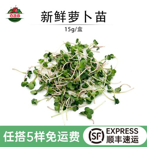 甜品蛋糕酒店西餐摆盘装饰萝卜苗