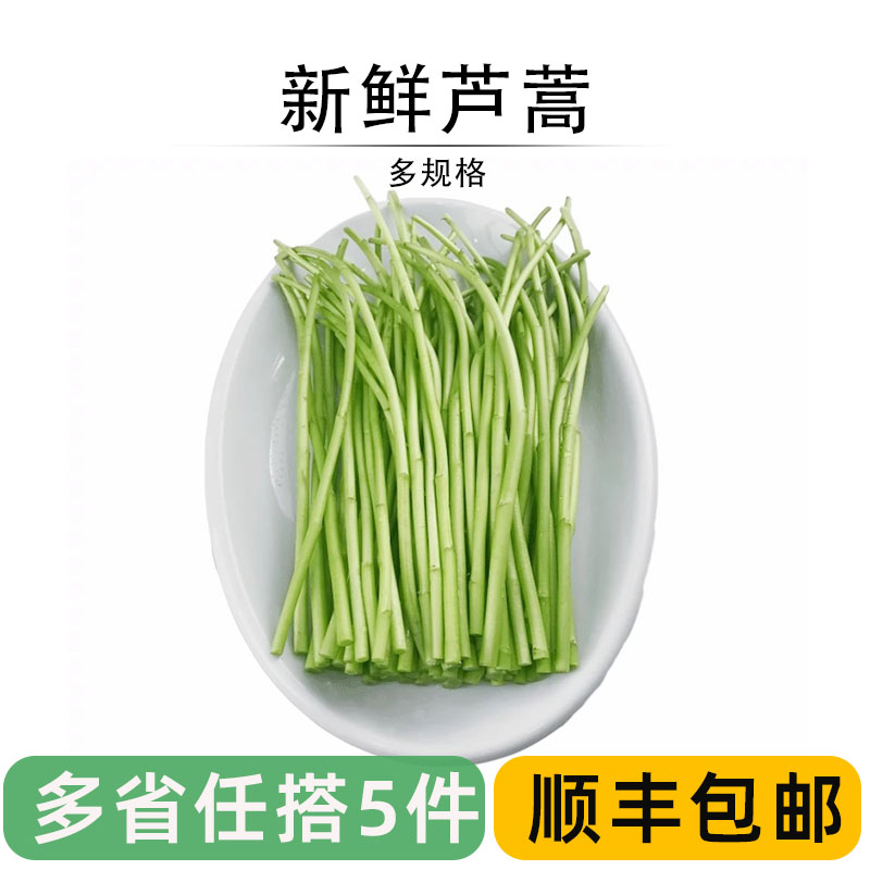 新鲜芦蒿菜去叶食用藜蒿农家泥蒿黎蒿菜农庄饭店食材当季蔬菜野菜