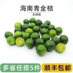 海南小金桔 青金桔柠檬新鲜青橘皮薄多汁小青柠酸爽调料奶茶水果
