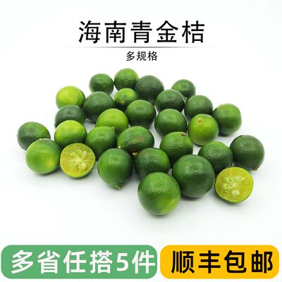 酸爽调料奶茶水果海南小金桔