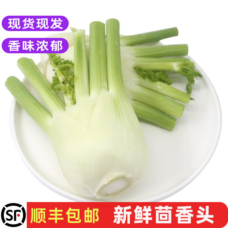 新鲜茴香头餐厅食材炒农家菜包邮