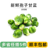 孢子甘蓝新鲜包子甘蓝迷你小包菜椰菜仔小卷心菜西餐沙拉食材蔬菜