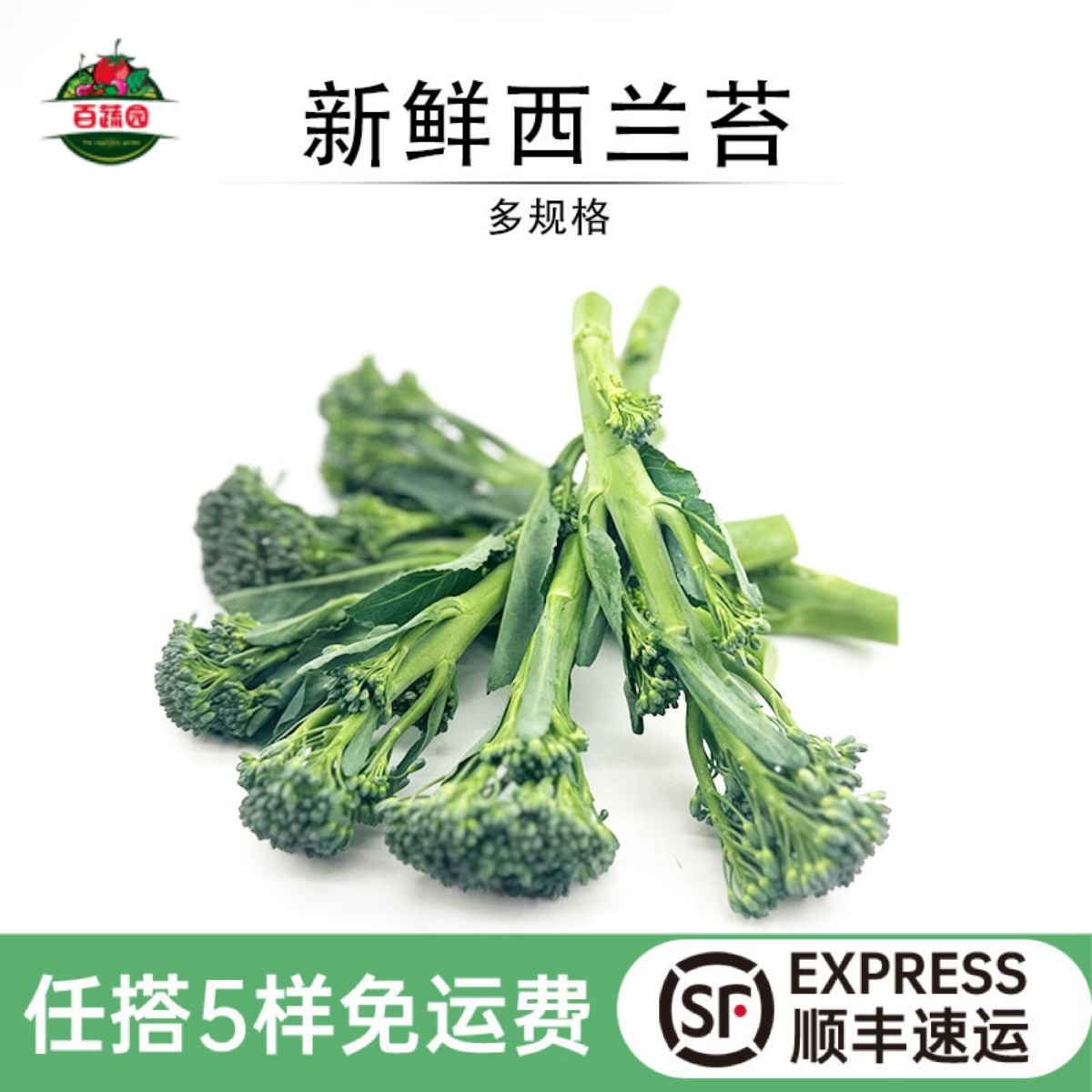 新鲜西兰苔西餐食材烤制沙拉蔬菜