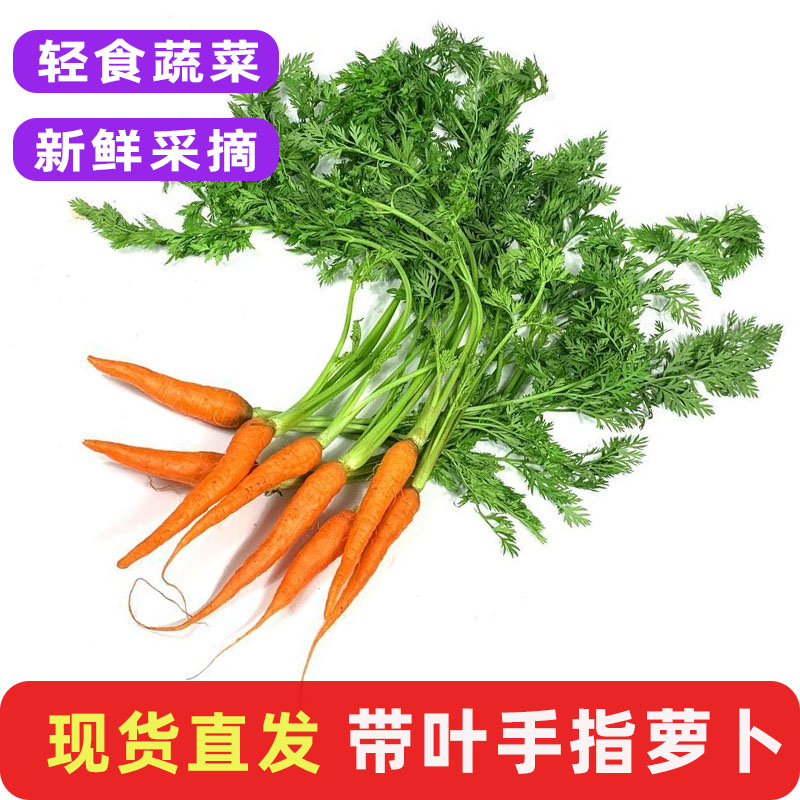 新鲜手指胡萝卜西餐沙拉蔬菜食材