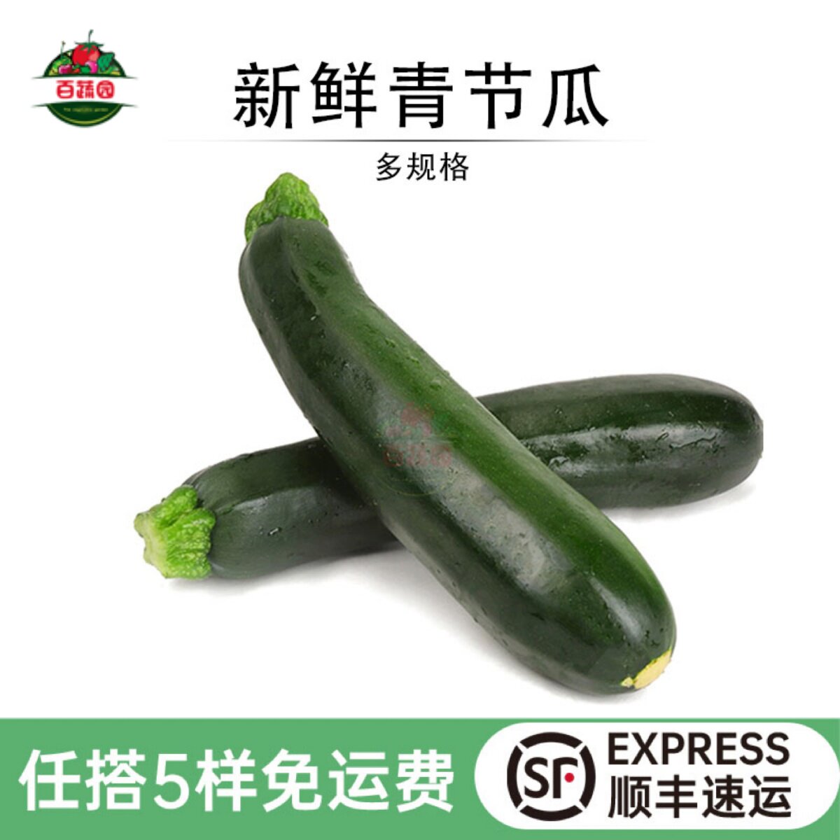 新鲜意大利青瓜沙拉即食蔬菜茄瓜