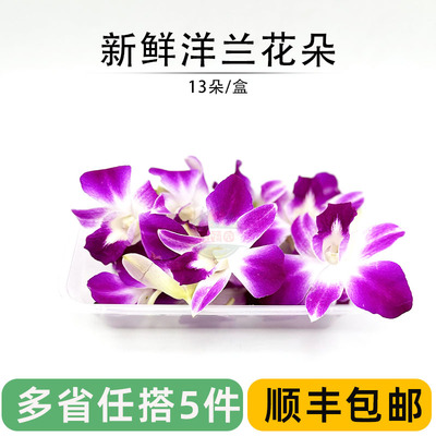 泰国进口杨兰花朵石斛兰摆盘装饰
