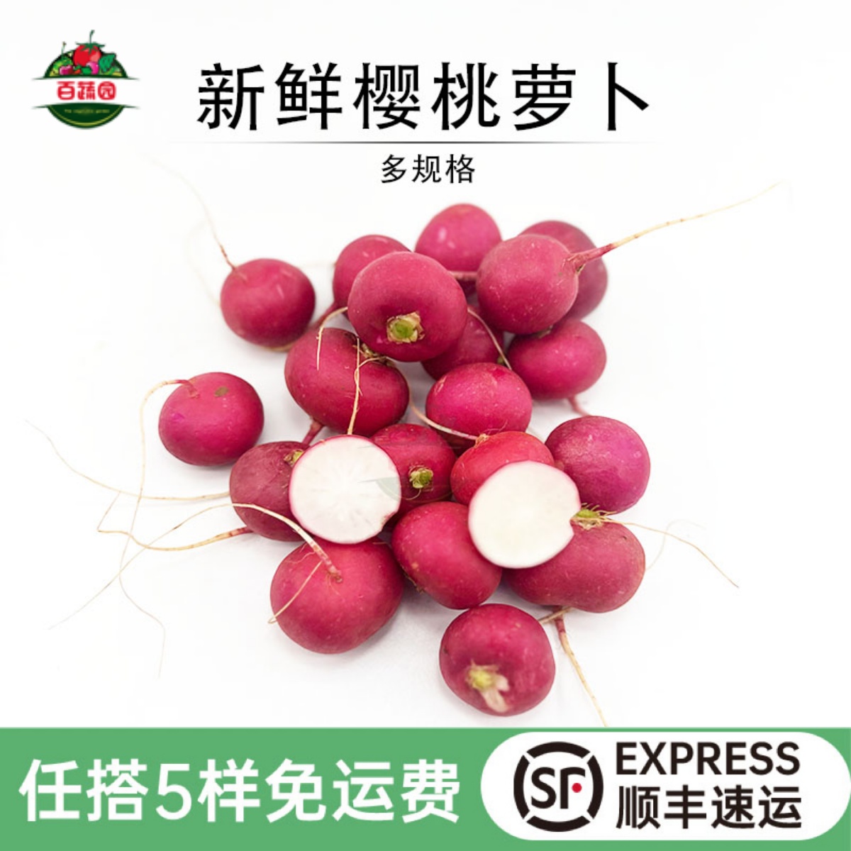 西餐食材沙拉蔬菜新鲜樱桃萝卜