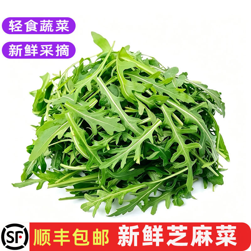 新鲜芝麻菜芝麻叶火箭菜西餐生菜食材沙拉菜披萨配菜轻食蔬菜包邮